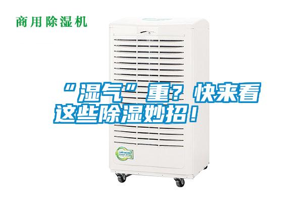 “濕氣”重？快來看這些除濕妙招！