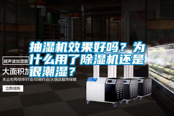 抽濕機(jī)效果好嗎？為什么用了除濕機(jī)還是很潮濕？