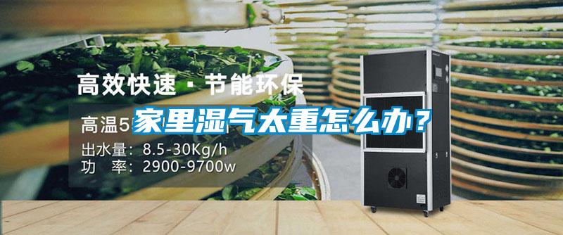 家里濕氣太重怎么辦？