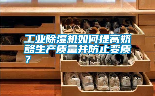 工業(yè)除濕機如何提高奶酪生產(chǎn)質量并防止變質？