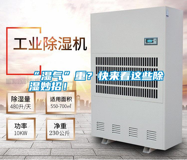 “濕氣”重？快來看這些除濕妙招！