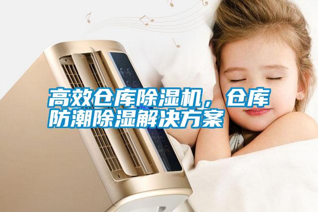 高效倉庫除濕機，倉庫防潮除濕解決方案