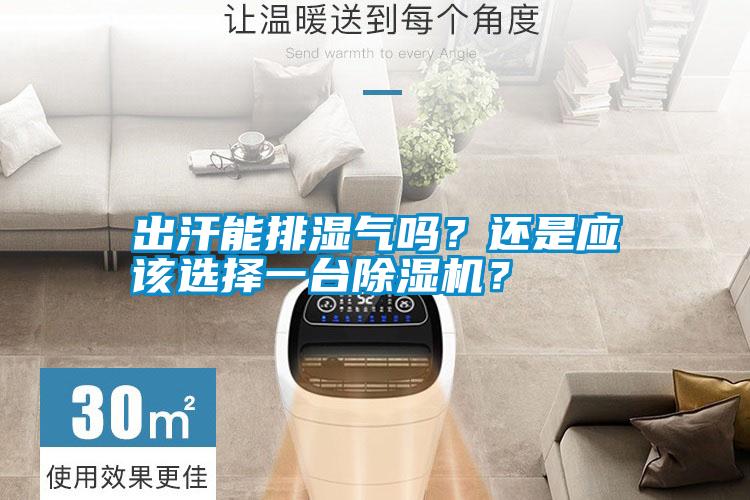 出汗能排濕氣嗎？還是應(yīng)該選擇一臺除濕機？