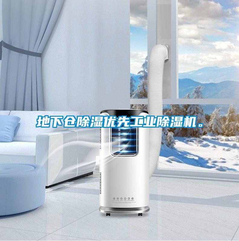 地下倉(cāng)除濕優(yōu)先工業(yè)除濕機(jī)。