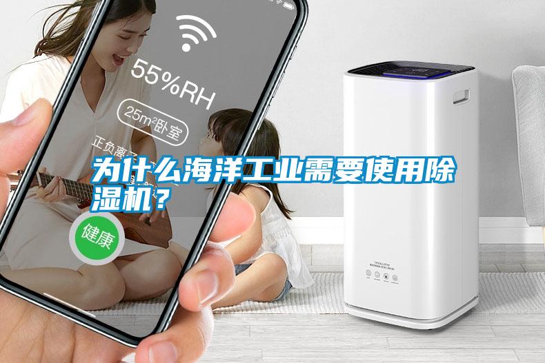 為什么海洋工業(yè)需要使用除濕機(jī)？