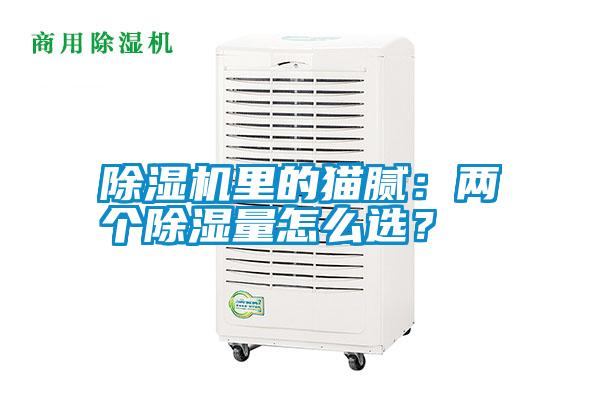 除濕機(jī)里的貓膩：兩個(gè)除濕量怎么選？