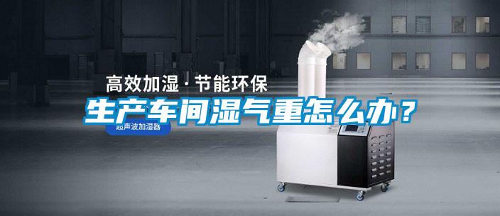 生產(chǎn)車(chē)間濕氣重怎么辦？