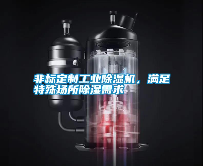 非標定制工業(yè)除濕機，滿足特殊場所除濕需求
