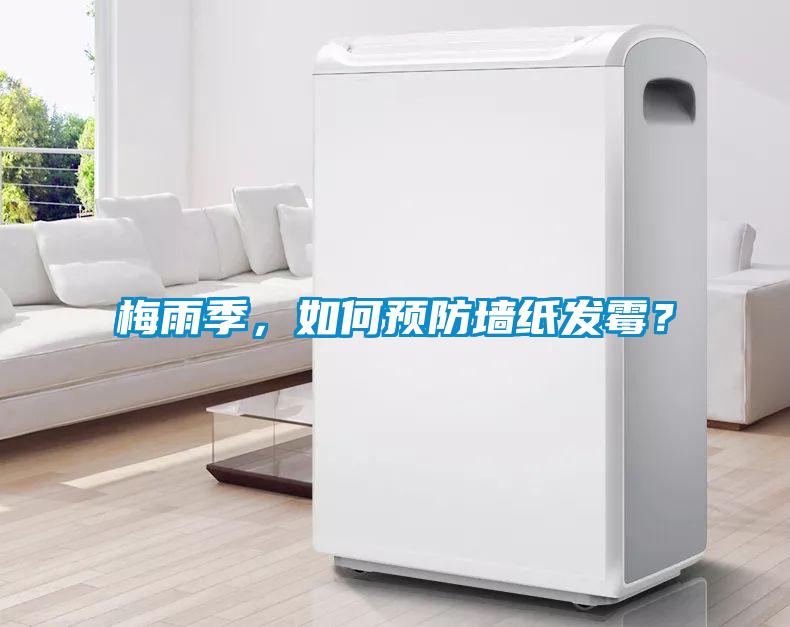 梅雨季，如何預(yù)防墻紙發(fā)霉？