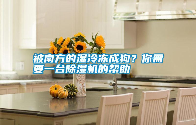 被南方的濕冷凍成狗？你需要一臺(tái)除濕機(jī)的幫助