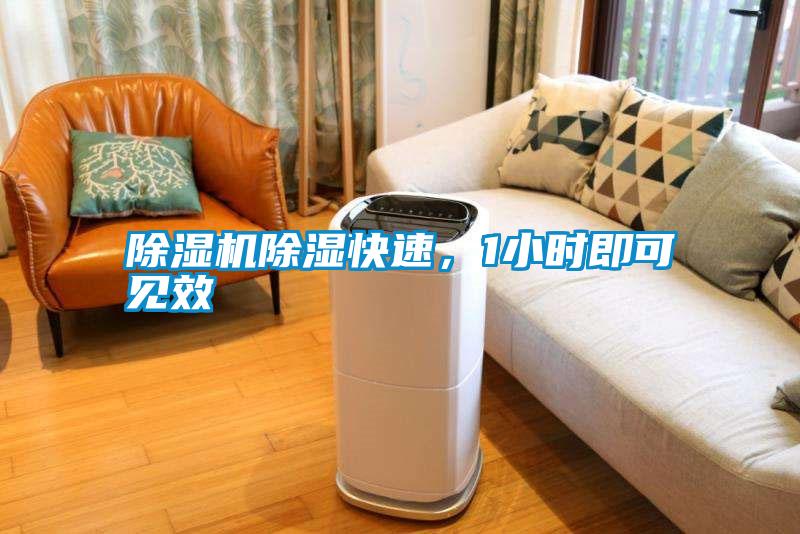 除濕機(jī)除濕快速，1小時即可見效