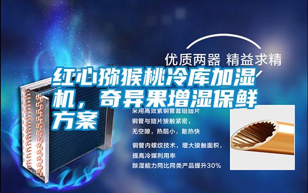 紅心獼猴桃冷庫(kù)加濕機(jī)，奇異果增濕保鮮方案