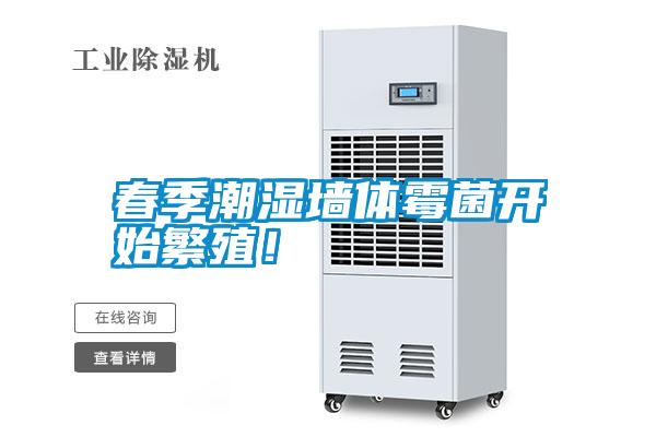 春季潮濕墻體霉菌開始繁殖！