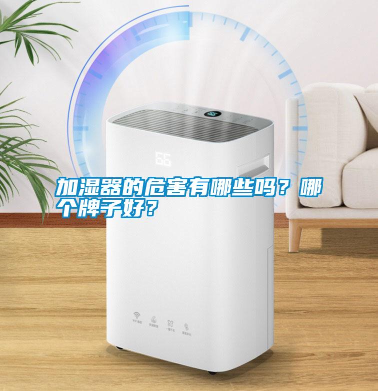 加濕器的危害有哪些嗎？哪個(gè)牌子好？