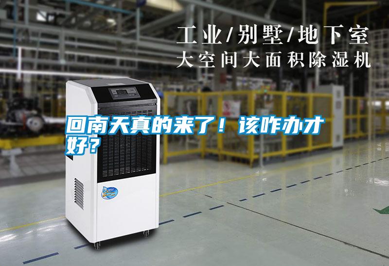 回南天真的來(lái)了！該咋辦才好？