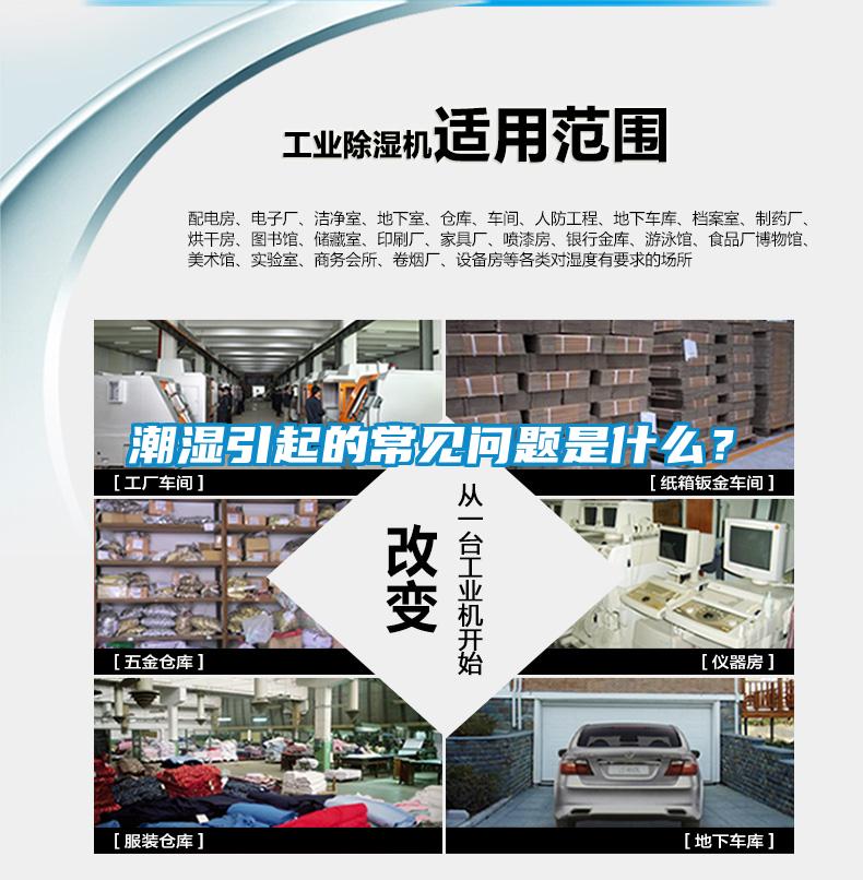 潮濕引起的常見問題是什么？