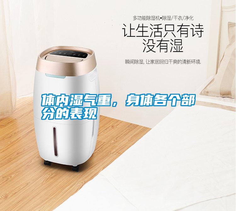 體內(nèi)濕氣重，身體各個(gè)部分的表現(xiàn)