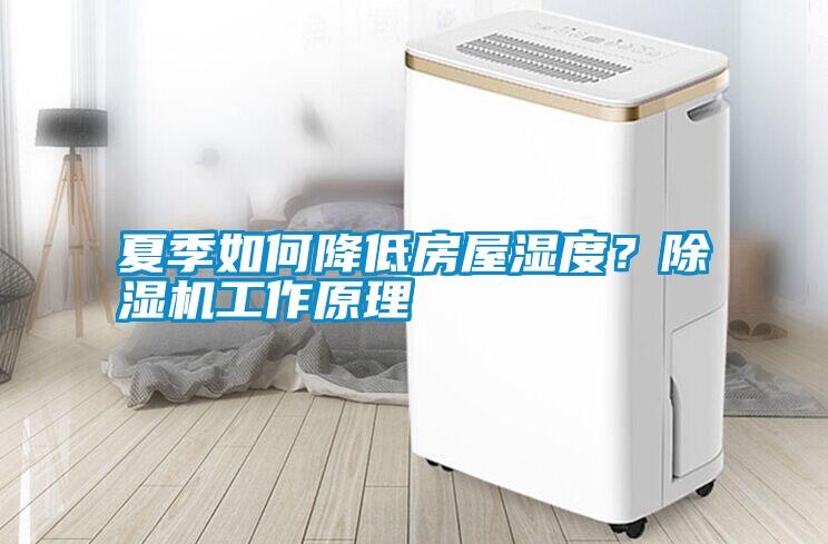 夏季如何降低房屋濕度？除濕機工作原理