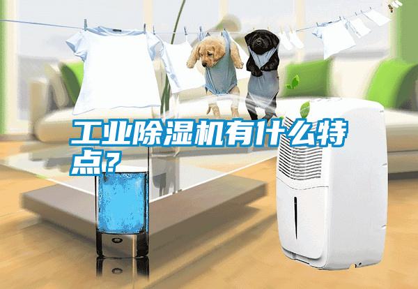 工業(yè)除濕機(jī)有什么特點(diǎn)？