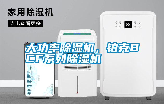 大功率除濕機(jī)，鉑克BCF系列除濕機(jī)