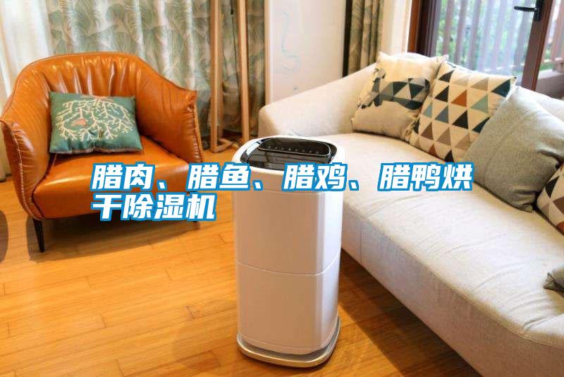 臘肉、臘魚、臘雞、臘鴨烘干除濕機(jī)