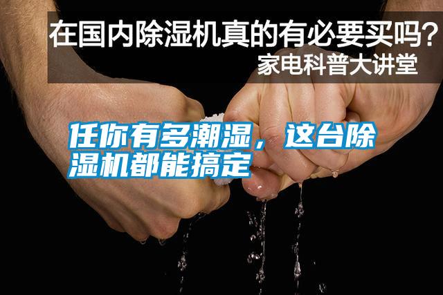 任你有多潮濕，這臺除濕機都能搞定