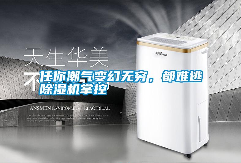 任你潮氣變幻無窮，都難逃除濕機(jī)掌控