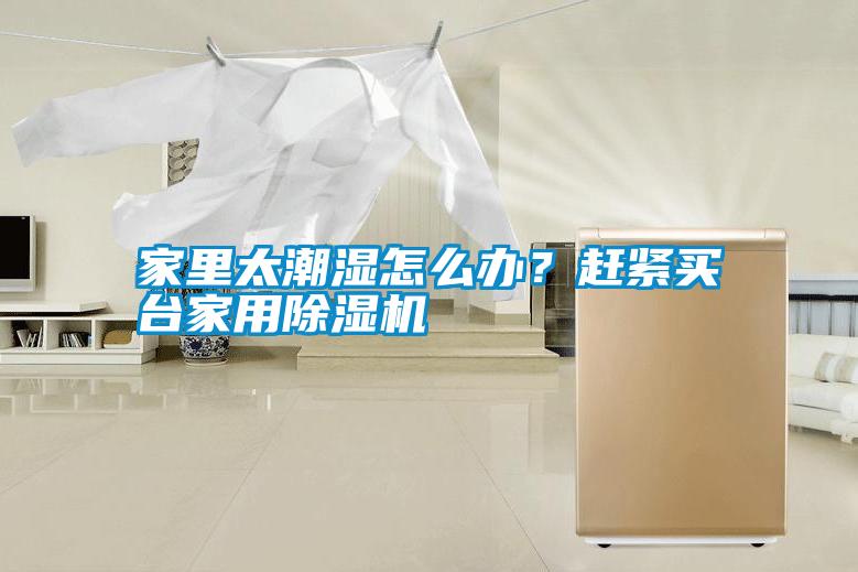 家里太潮濕怎么辦？趕緊買臺家用除濕機
