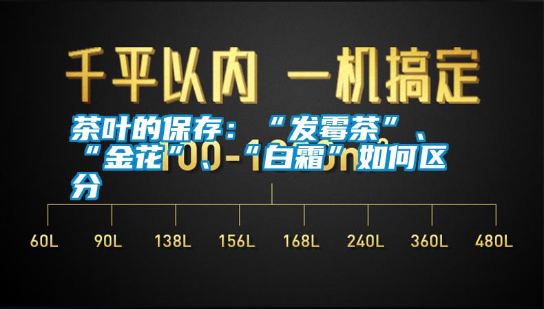 茶葉的保存：“發(fā)霉茶”、“金花”、“白霜”如何區(qū)分