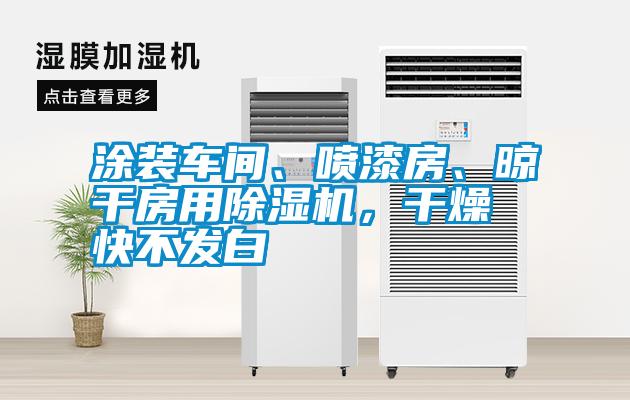 涂裝車間、噴漆房、晾干房用除濕機(jī)，干燥快不發(fā)白