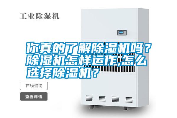你真的了解除濕機嗎？除濕機怎樣運作,怎么選擇除濕機？