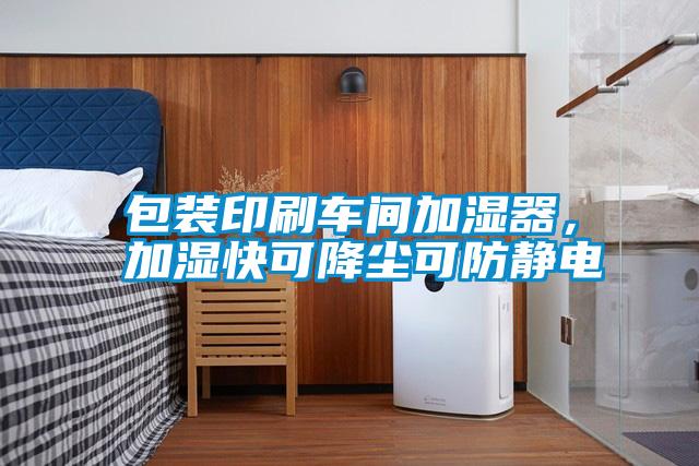包裝印刷車間加濕器，加濕快可降塵可防靜電