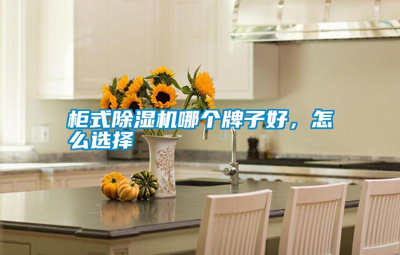 柜式除濕機哪個牌子好，怎么選擇