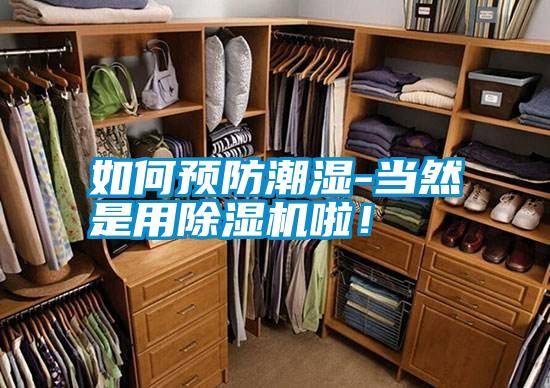 如何預(yù)防潮濕-當(dāng)然是用除濕機啦！