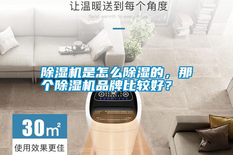 除濕機(jī)是怎么除濕的,那個(gè)除濕機(jī)品牌比較好?