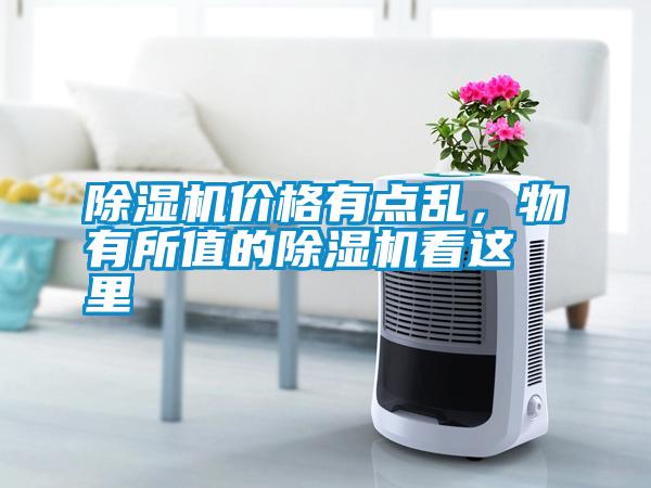 除濕機(jī)價(jià)格有點(diǎn)亂，物有所值的除濕機(jī)看這里