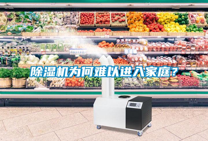 除濕機為何難以進入家庭？
