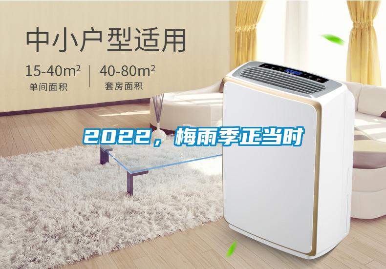 2022，梅雨季正當(dāng)時