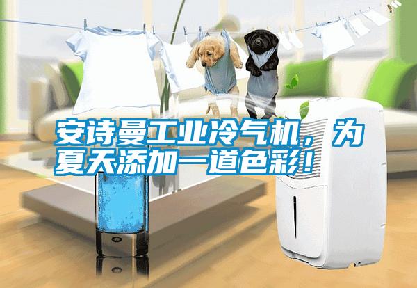 安詩曼工業(yè)冷氣機(jī)，為夏天添加一道色彩！