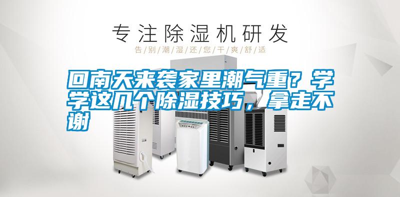 回南天來襲家里潮氣重？學(xué)學(xué)這幾個除濕技巧，拿走不謝