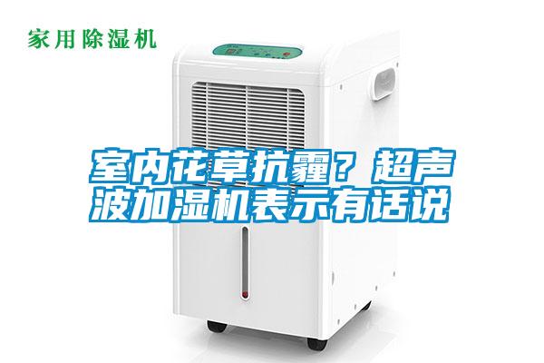 室內(nèi)花草抗霾？超聲波加濕機(jī)表示有話說