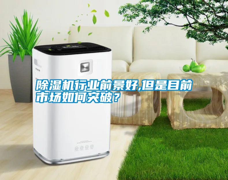除濕機(jī)行業(yè)前景好,但是目前市場(chǎng)如何突破？