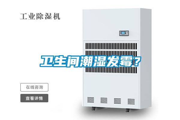 衛(wèi)生間潮濕發(fā)霉？