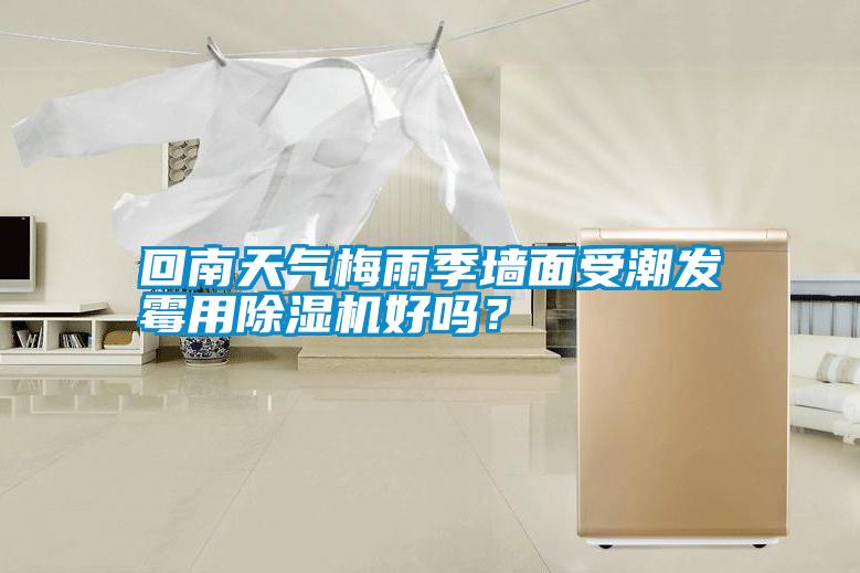 回南天氣梅雨季墻面受潮發(fā)霉用除濕機(jī)好嗎？