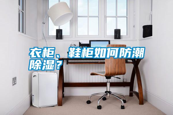 衣柜、鞋柜如何防潮除濕？