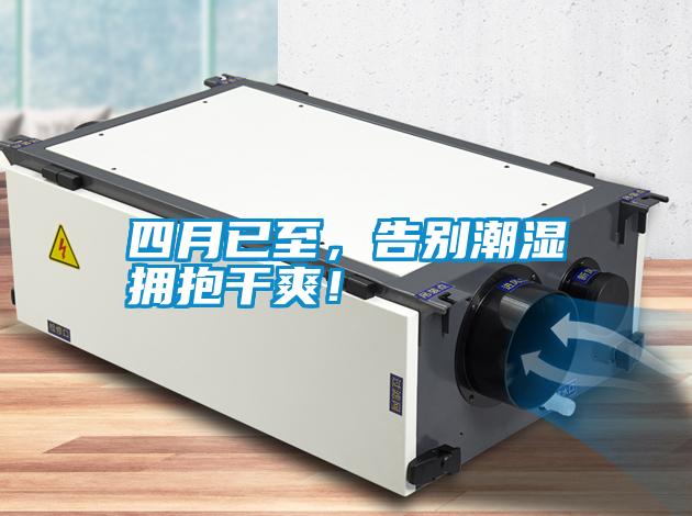 四月已至，告別潮濕擁抱干爽！