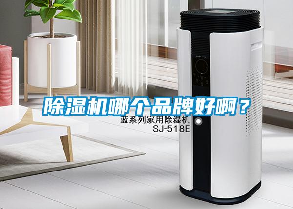 除濕機(jī)哪個(gè)品牌好??？