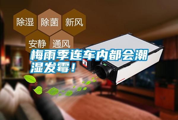 梅雨季連車內(nèi)都會潮濕發(fā)霉！