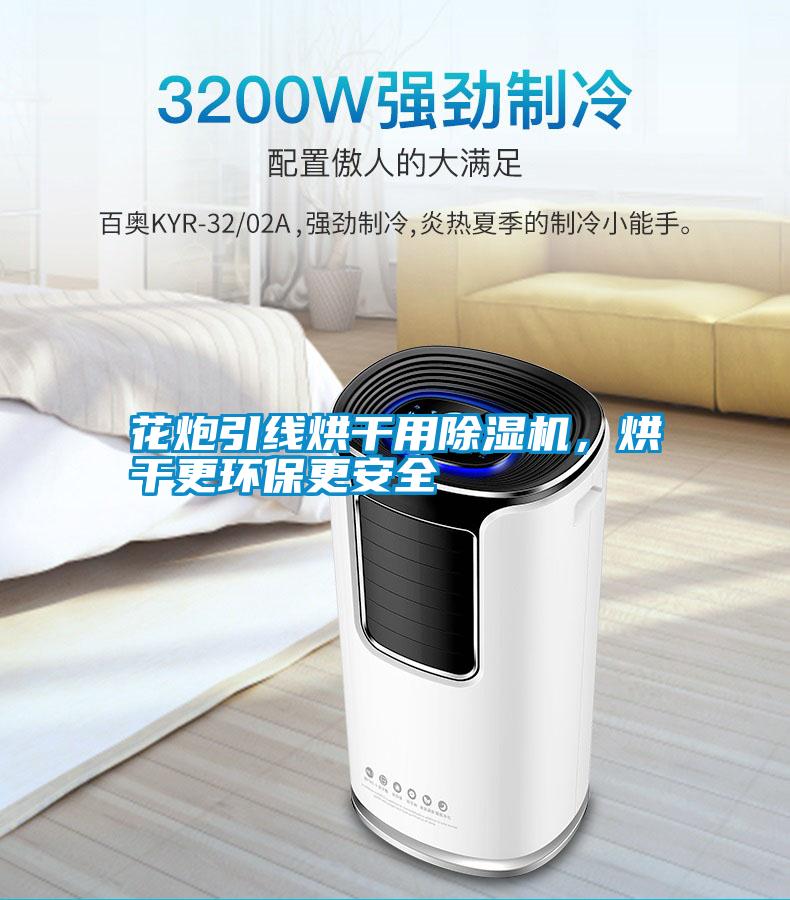 花炮引線烘干用除濕機(jī)，烘干更環(huán)保更安全