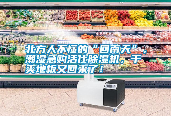 北方人不懂的“回南天”，潮濕急購活仕除濕機，干爽地板又回來了！
